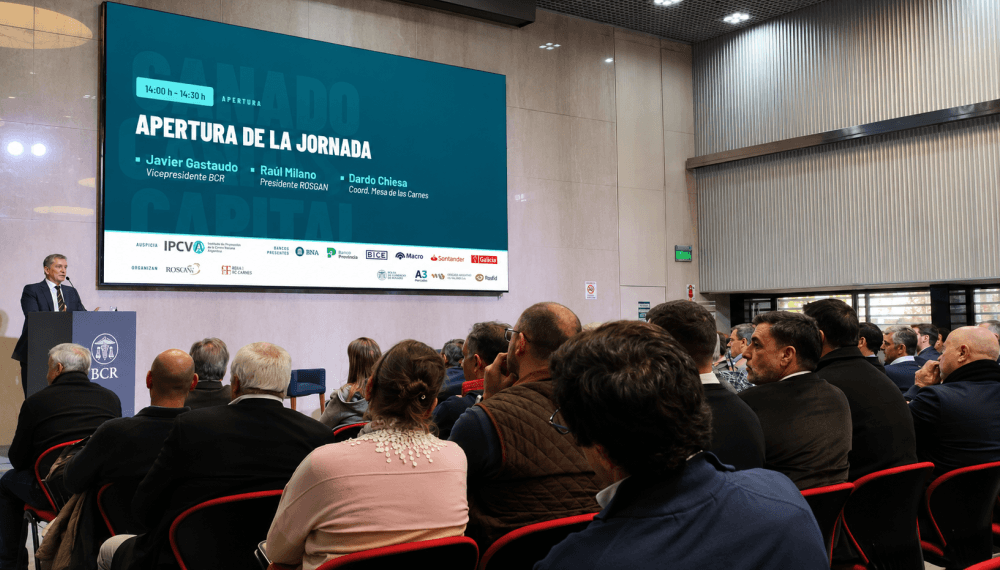 La brecha que limita a la ganadería: los bancos solo financian entre 6% y 11% de la inversión del sector