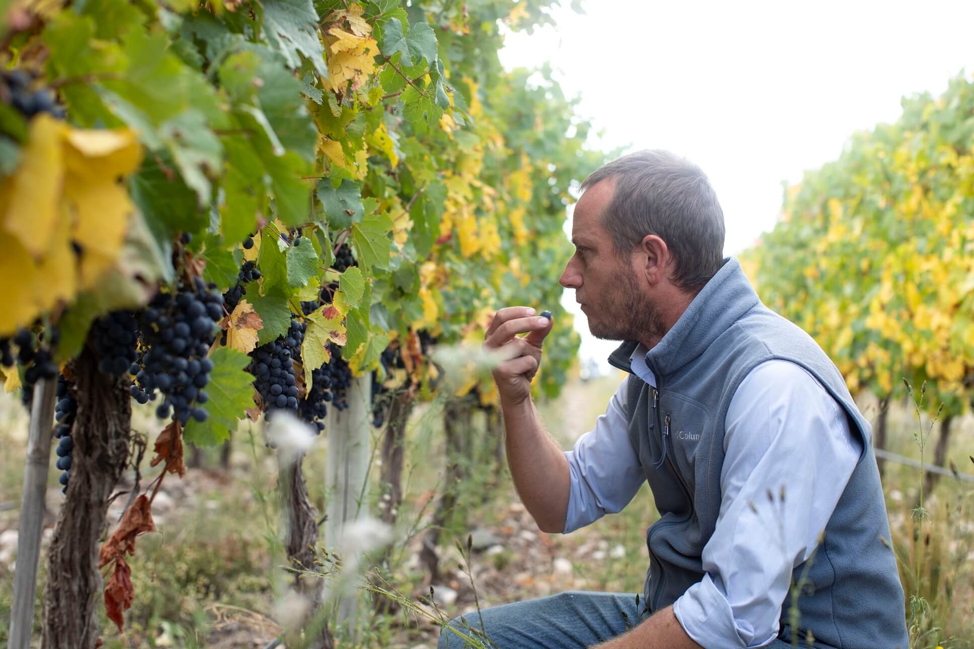 OMX Martin Di Stefano Zuccardi1 baja