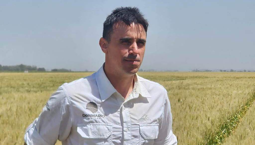 P.M TRIGO.jpg