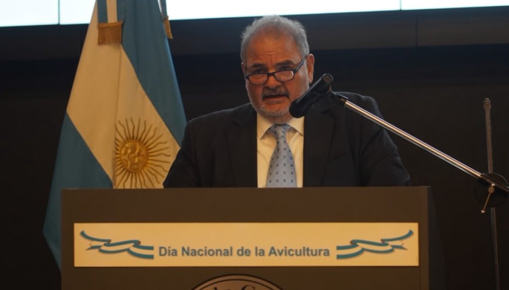 La cadena aviar no para de crecer: los 4 pedidos al Gobierno para seguir la expansión con inversiones
