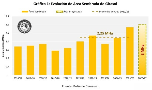 El girasol no quiere perder el tren y va por otro año de expansión: la siembra crecería otro 5,3% 7 area bolsa