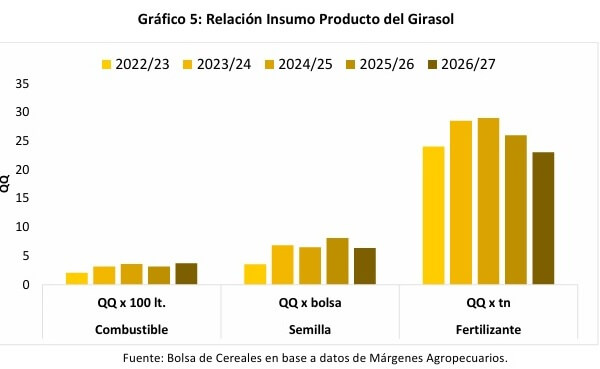 El girasol no quiere perder el tren y va por otro año de expansión: la siembra crecería otro 5,3% 10 bolsa 1