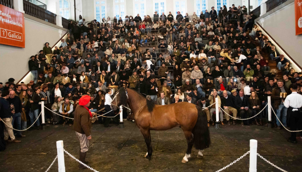 Un caballo criollo hizo récord en Palermo: $ 150 millones por el 90%