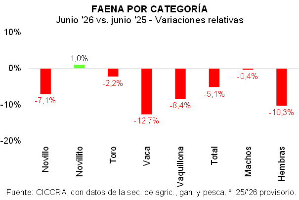 ciccra faena por categoria