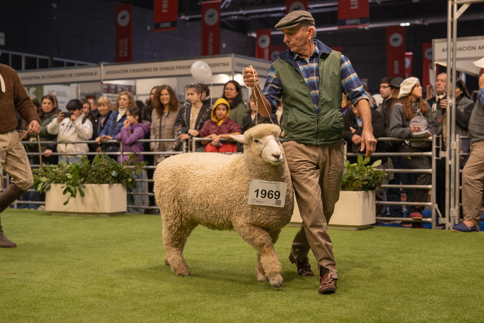 concurso ovino la rural