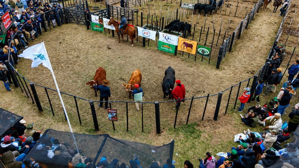 jura en agronea