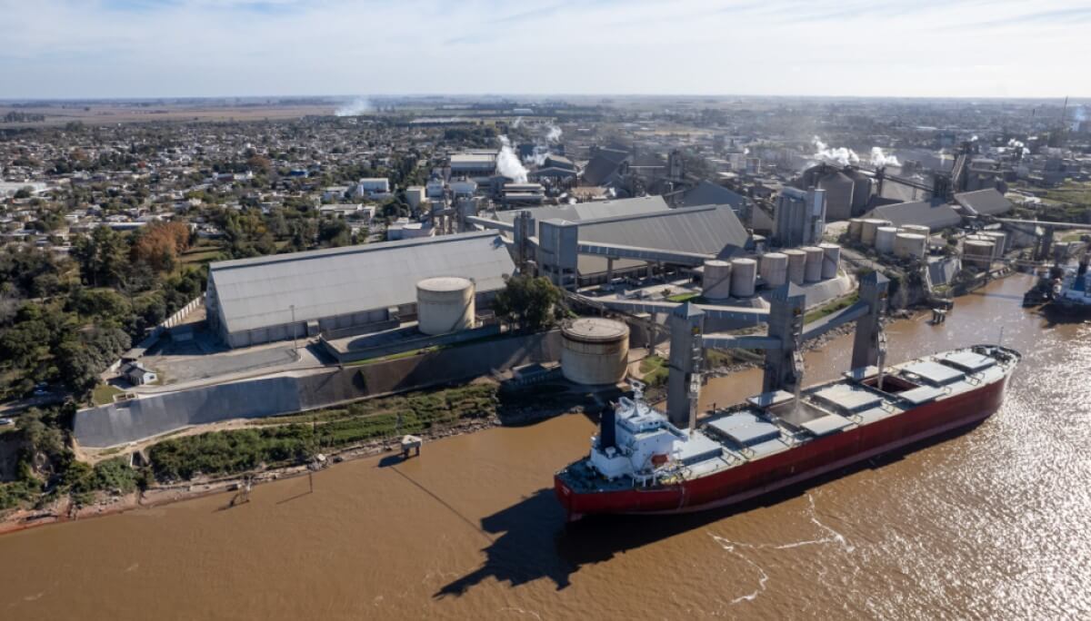 La industria de la soja suma otra mega inversión en Argentina: U$S 500 millones en Timbúes 1 molinos agro puerto barco buque hidrovia