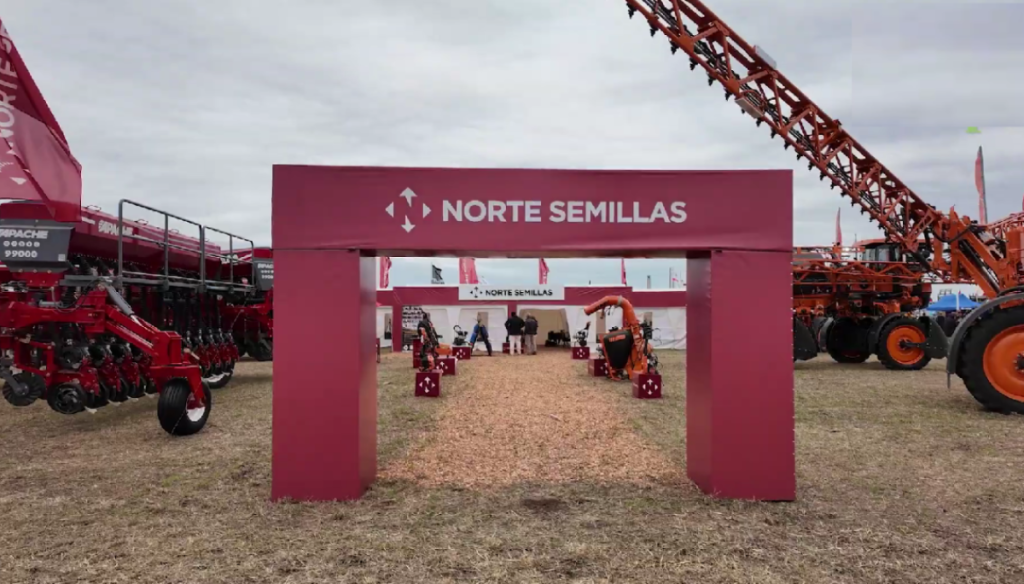 En el NEA alimentan el sueño de que se active el puerto de Barranqueras: “Sería espectacular”