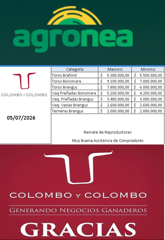 precios colombo y colombo