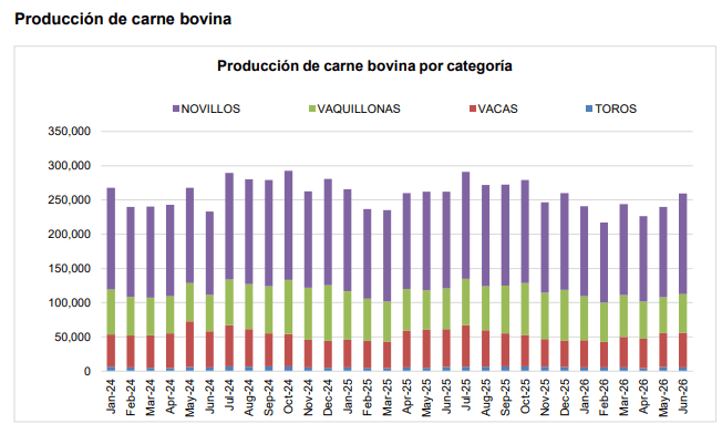 produccion de carne bovina