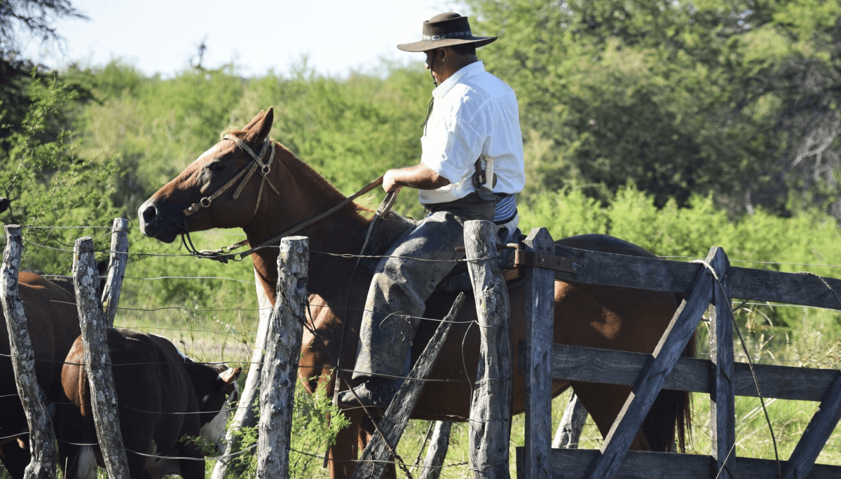 trabajador rural peon caballo ganado