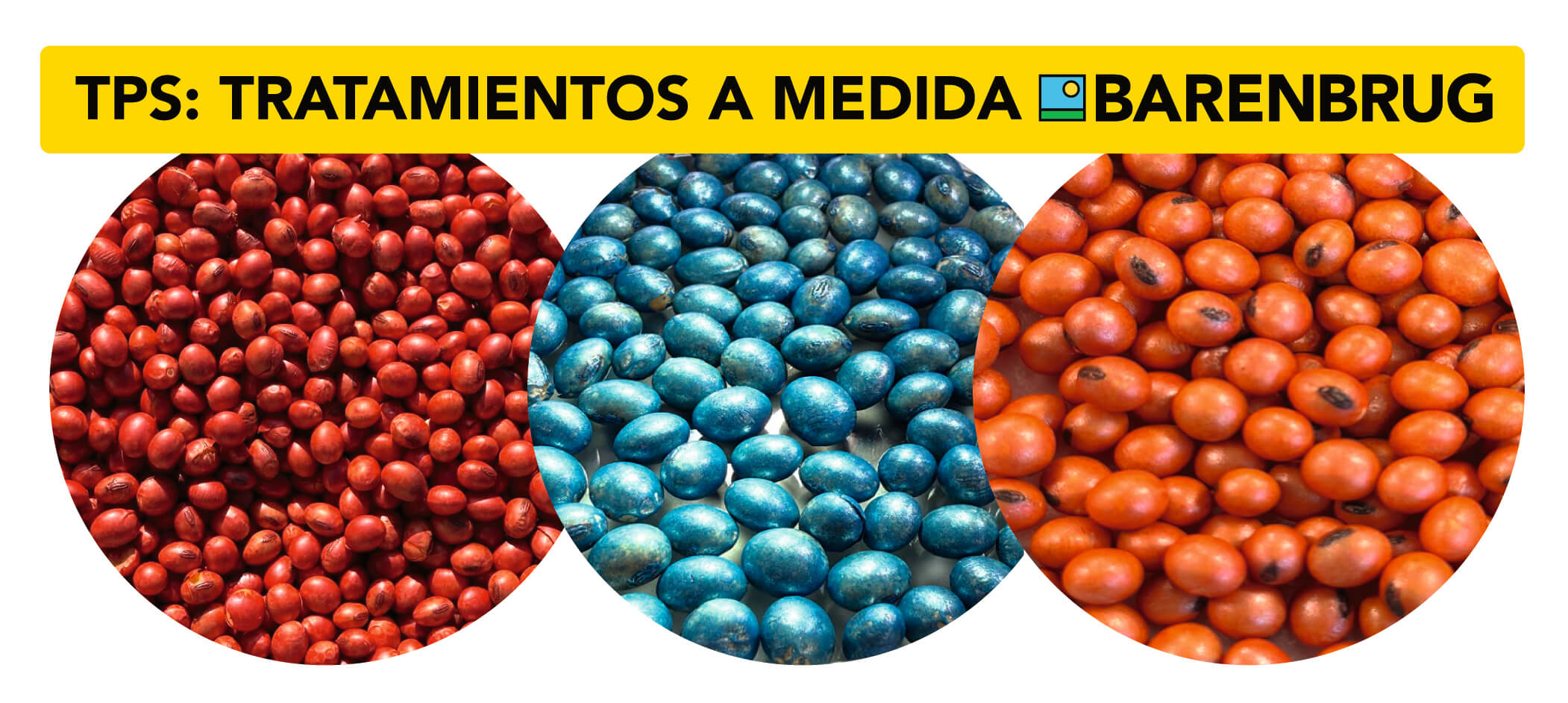 03 inocular para construir.jpg
