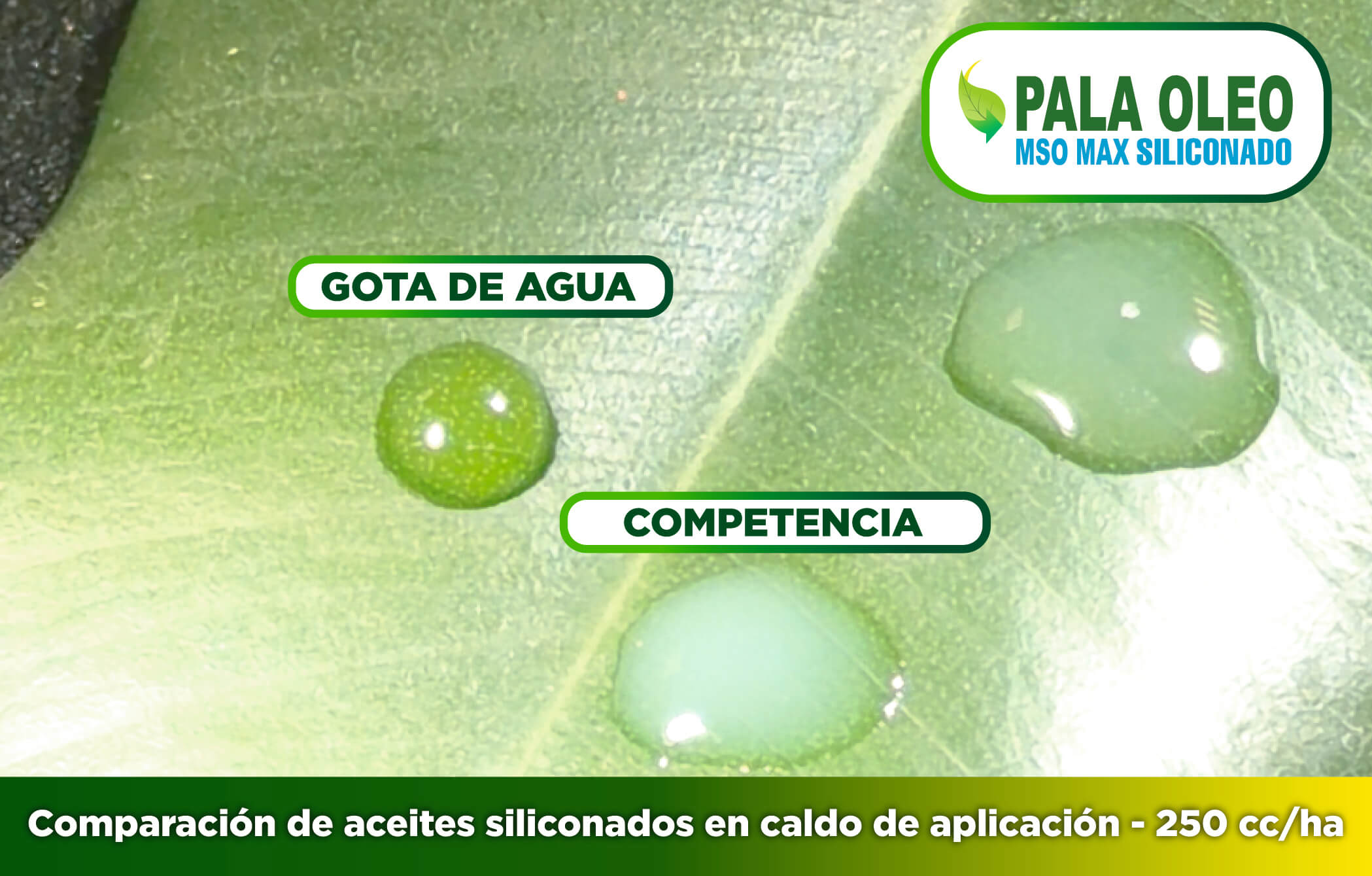 04 b del agua a la gota.jpg