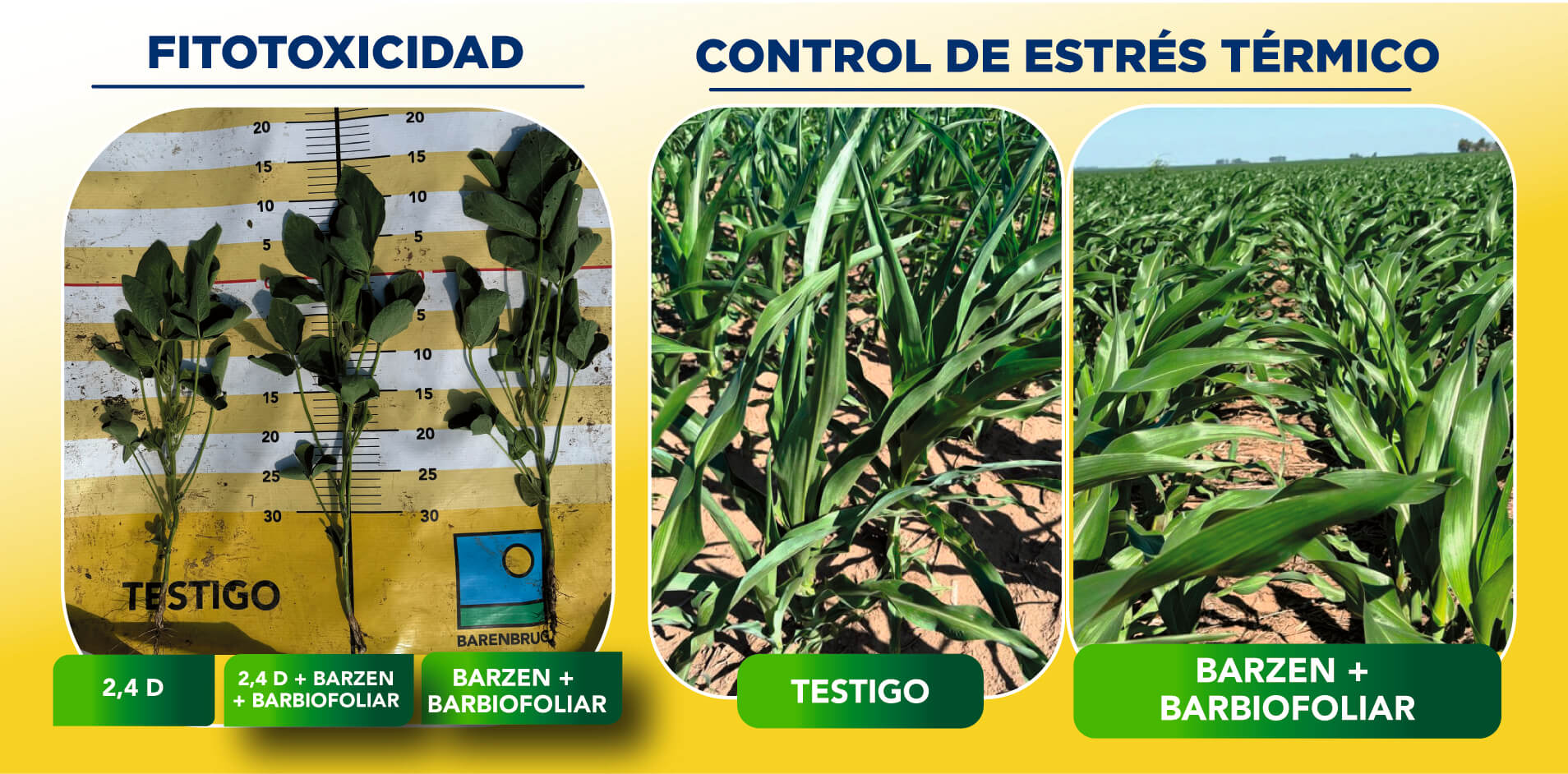05 bioestimular para mitigar estres.jpg