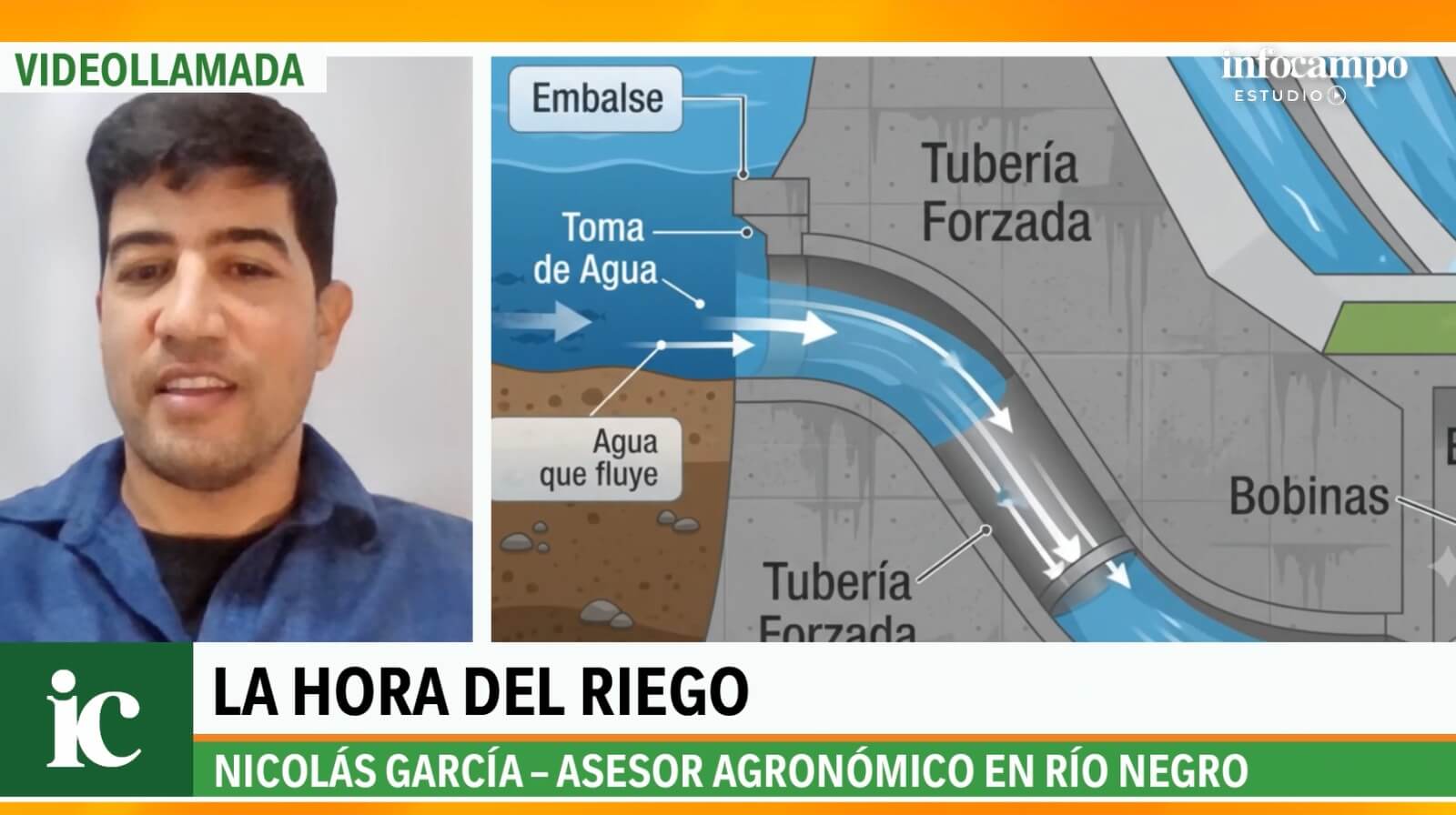INFOCAMPO ESTUDIO 2C