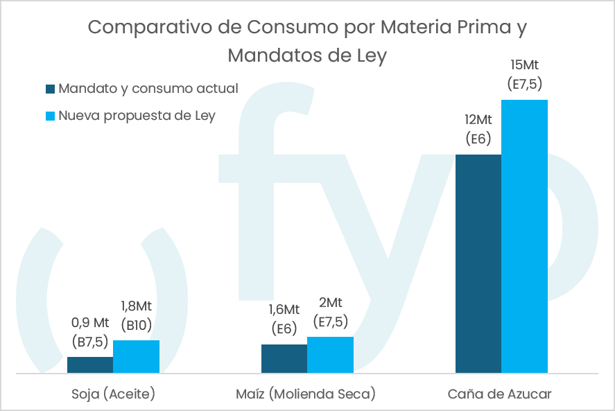 Imagen1