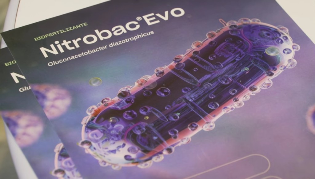 Innovación en biológicos: un biofertilizante foliar ayuda a fijar nitrógeno con una bacteria de la caña de azúcar