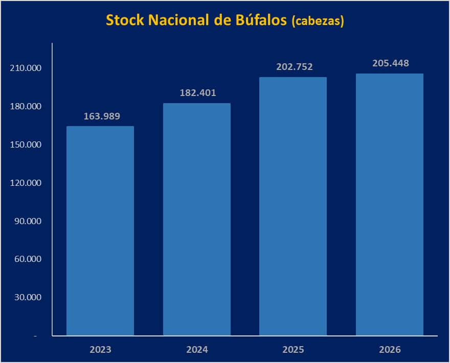 bufalos 1