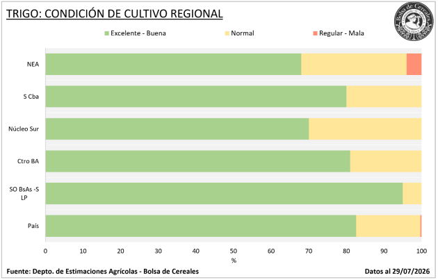 condicion trigo