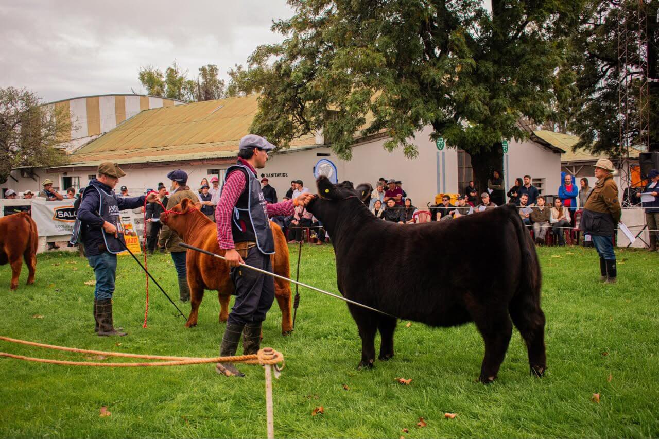 expo villaguay