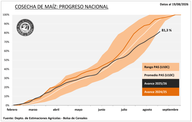maiz cosecha atraso