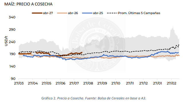 maiz precio a cosecha