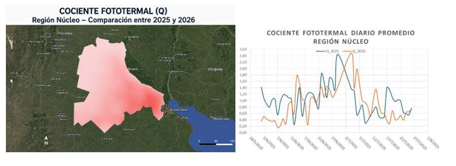 q grafico