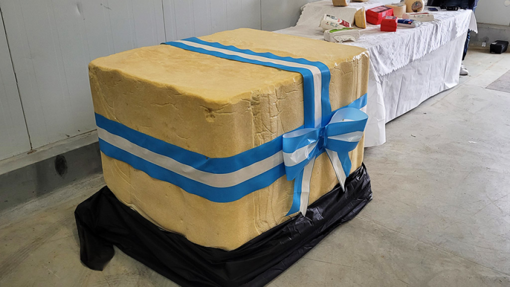 queso gigante todoagro