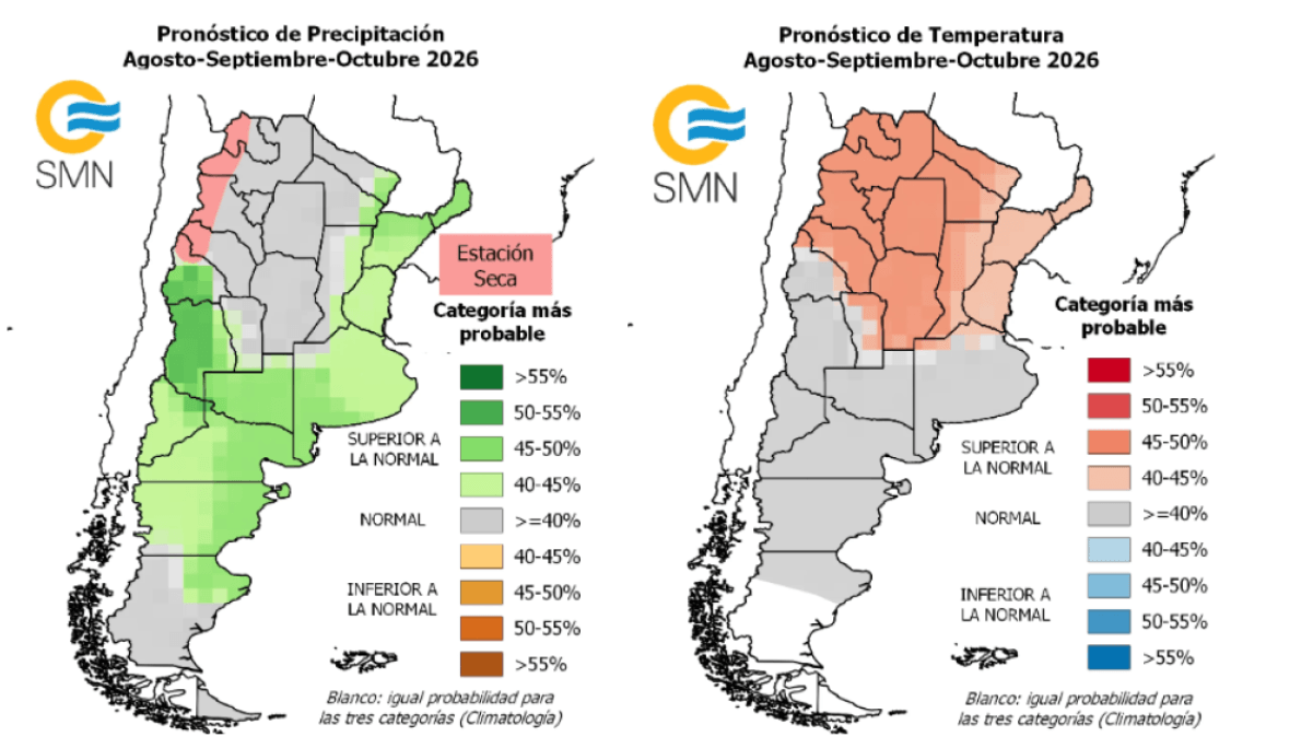 smn trimestral