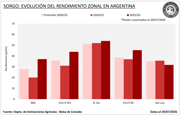sorgo rindes