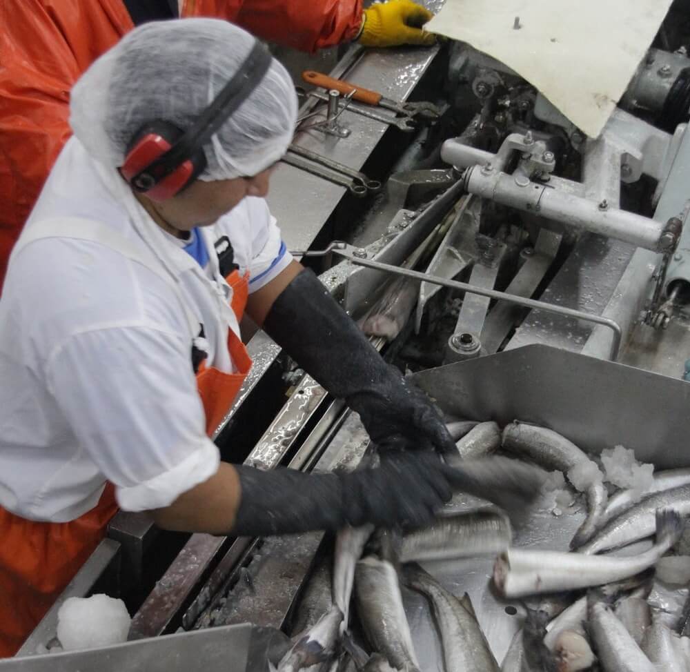 El campo argentino salta el charco: las exportaciones agroindustriales a la Unión Europea crecen 30% 1 unnamed 5