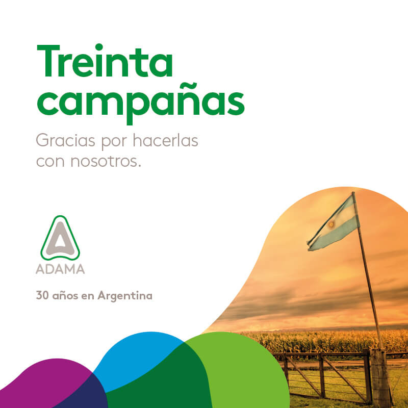 ADA 30 Campanas 800x800 1