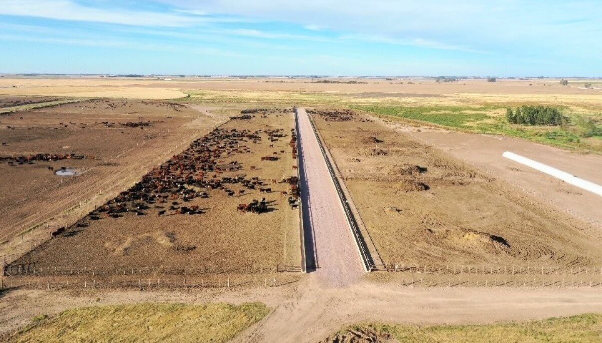 Corral feedlot