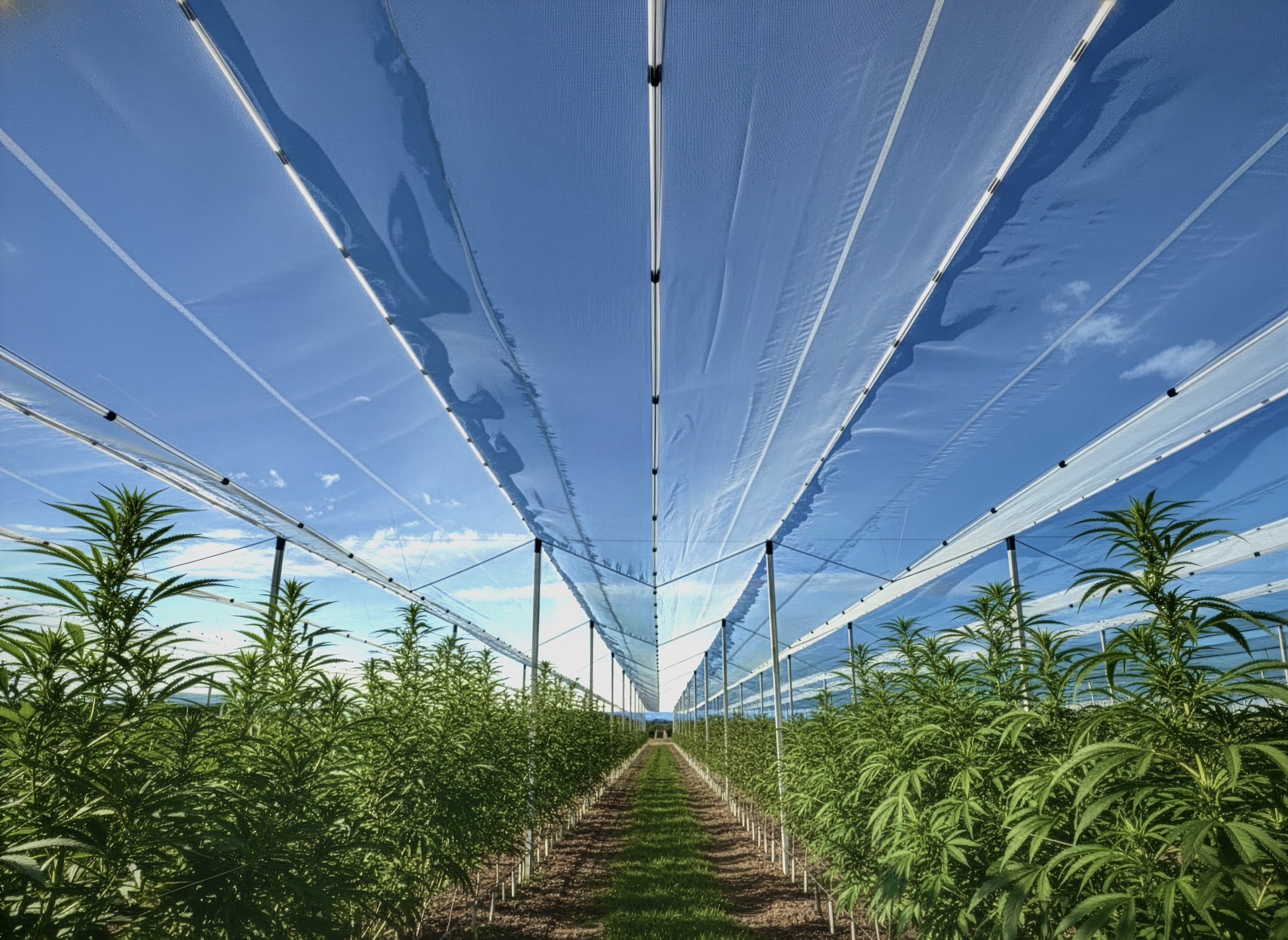 IMG 3032 scaled
