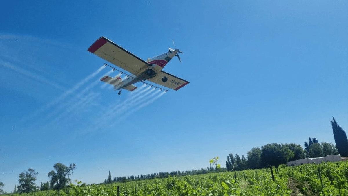 avion fumigador lobesia botrana