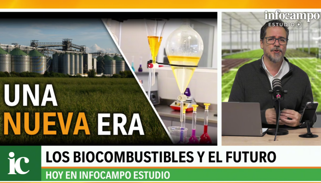Lo que viene en biocombustibles, más allá de la ley: “La demanda es sostenida y el futuro, promisorio”