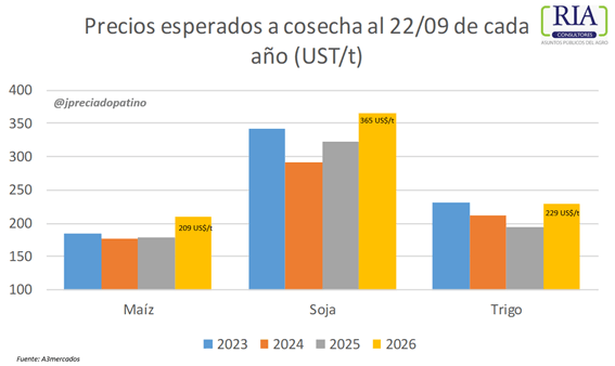 grafico jpp