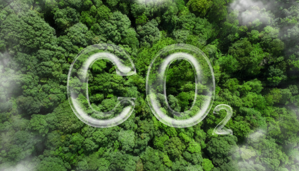 Mercado de carbono: “Decían que era humo, y estamos muy cerca de que ese humo se vuelva dólares”