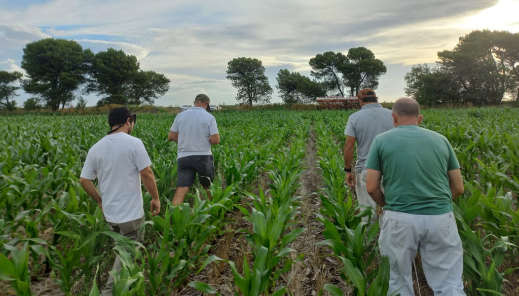 productores maiz supra
