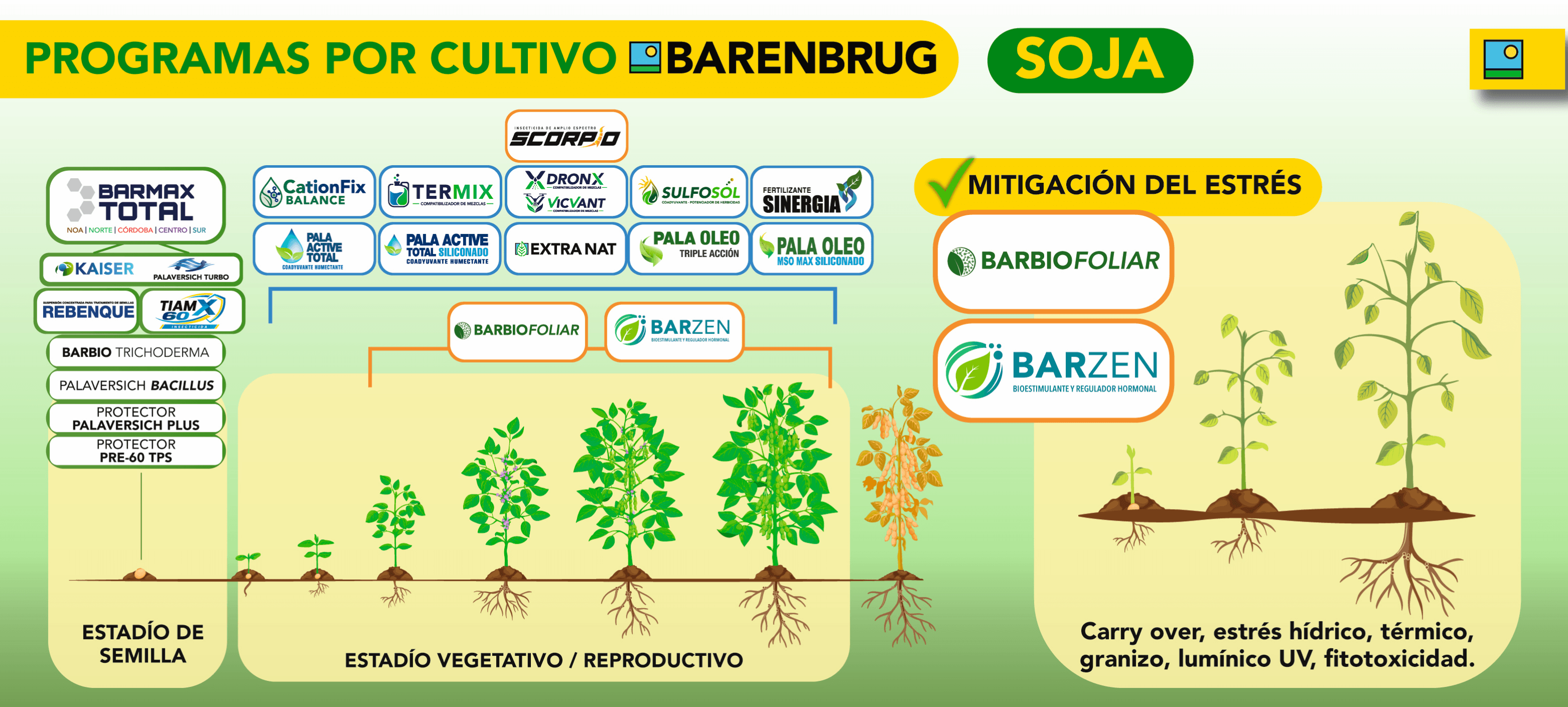 programa soja.jpg