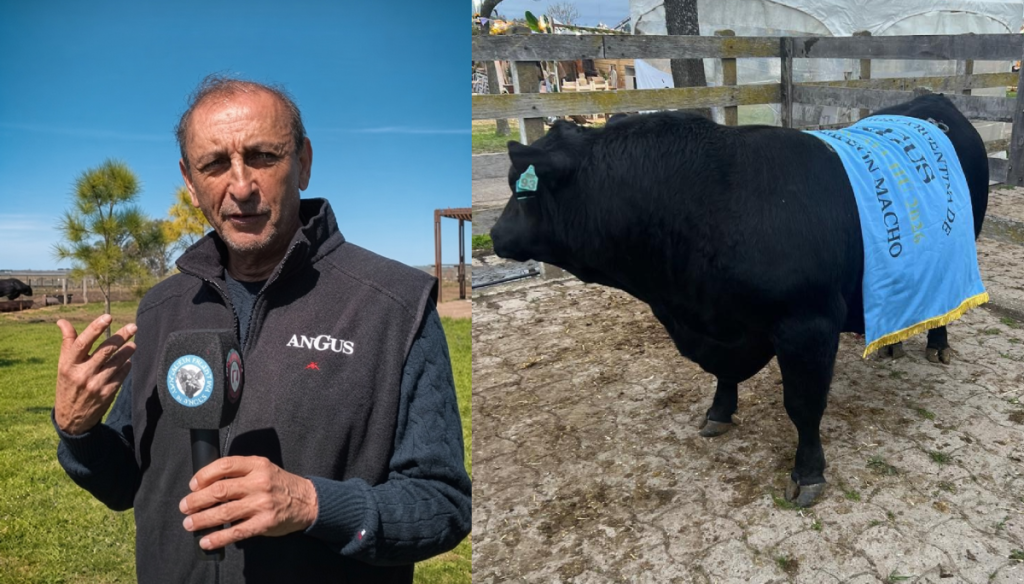 Del fútbol a los toros: Ramón Díaz, campeón como jugador, director técnico y también cabañero