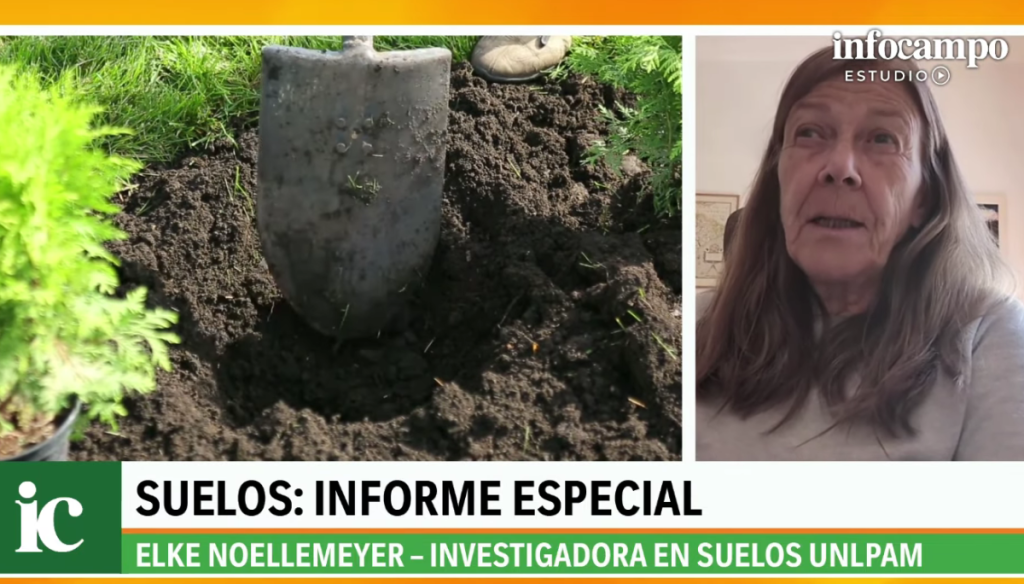 suelos ice