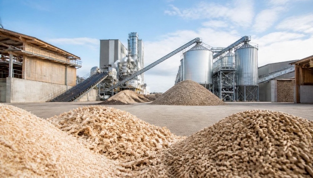 Energía forestal: los pellets de madera, un insumo con potencial para crecer en la agroindustria