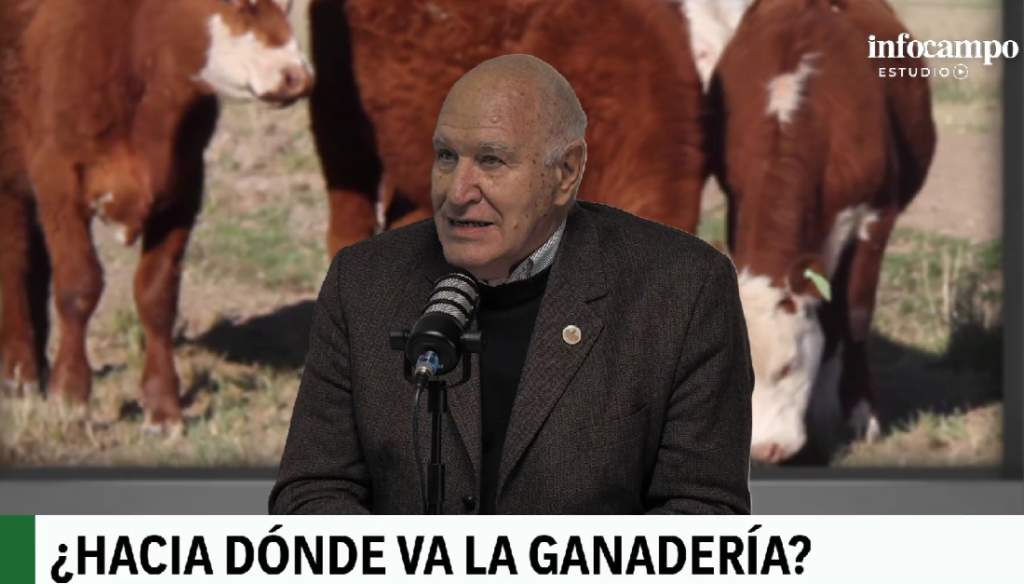 victor tonelli