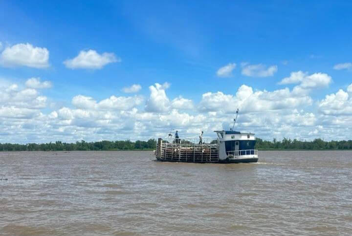 El Niño: en las islas de Santa Fe, aseguran que ya fue evacuada el 70% de la hacienda en peligro 1 WhatsApp Image 2026 10 24 at 08.55.55