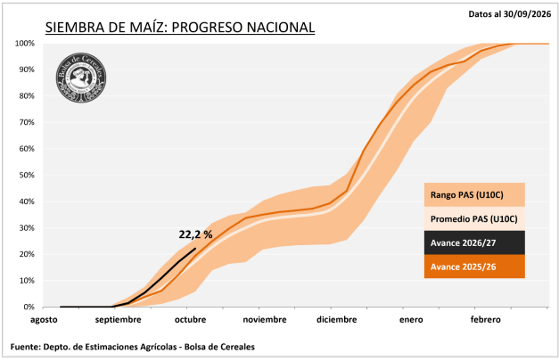 avance siembra maiz
