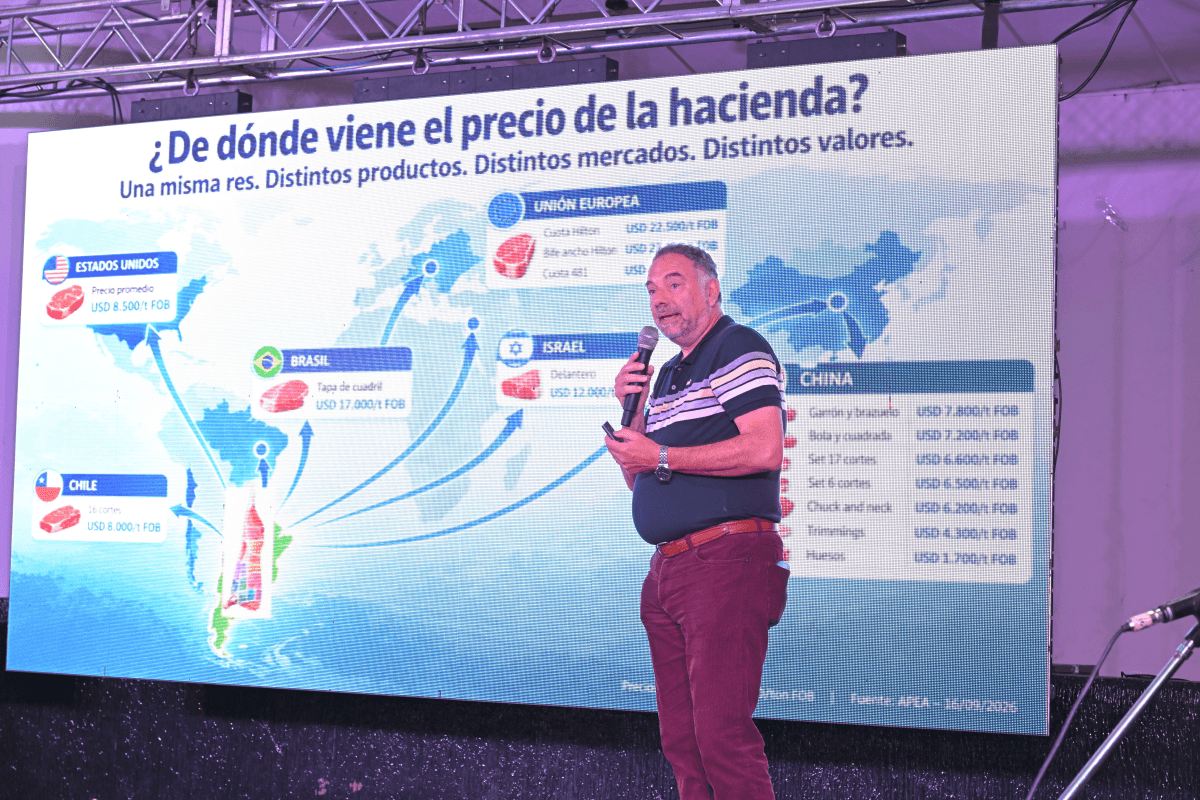 bifaretti jornada ipcva