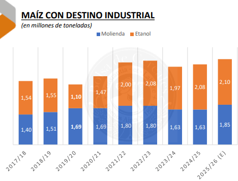 maiz industrial
