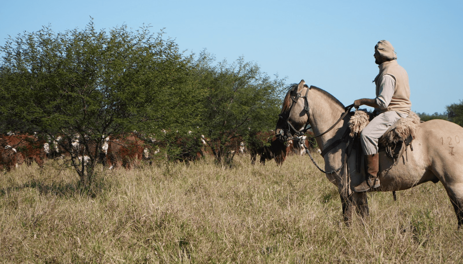 trabajador rural peon caballo juramento